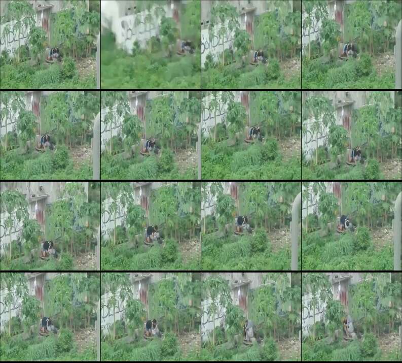 Streaming Bokep Ngintip Jilbab Lagi Ngewe Di Belakang Sekolah Ketahuan