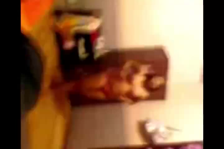 Bokep Indo Abg Di Kamar Gang Dolly