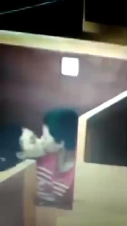 Video Bokep Ngintip Di Warnet Sepi Ciuman Dan Ngisep